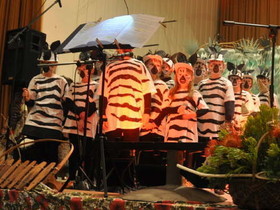 Zebras