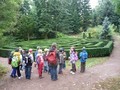 Entdeckungen im Forstbotanischen Garten