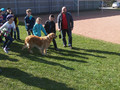 Hundebesuch in unserer Grundschule