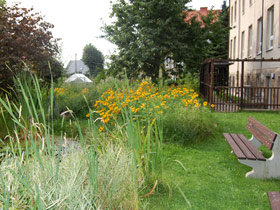 Bank im Schulgarten