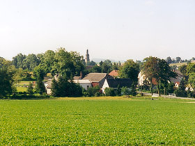Wiese 1997