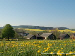 Friedersdorf