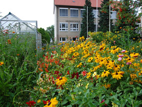 Gewächshaus