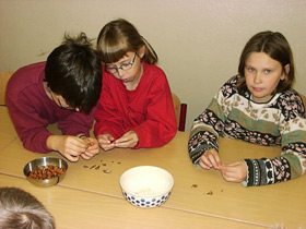 Shelling the almonds