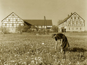 Dreiseithof 1947