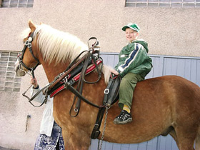 Un fier cavalier