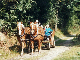 Un voyage avec l‘équipage